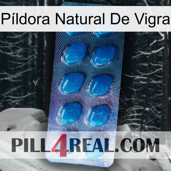 Píldora Natural De Vigra viagra1.jpg